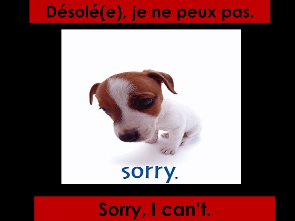 Sorry, I cant. Désolé(e), je ne peux pas.
