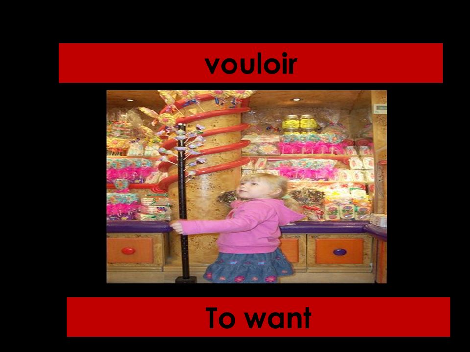 vouloir To want
