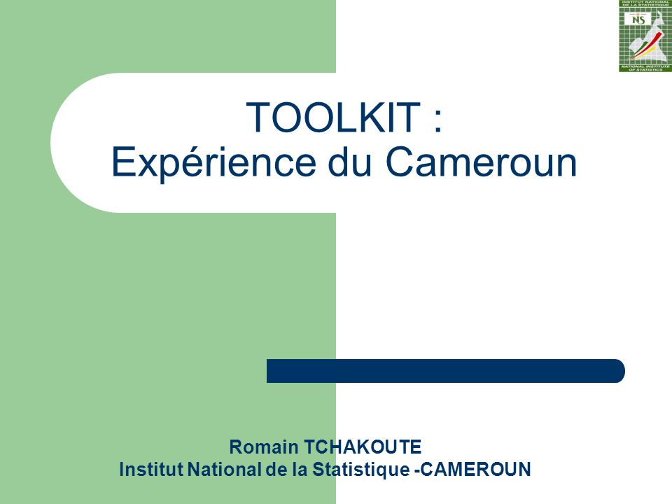 Romain TCHAKOUTE Institut National de la Statistique -CAMEROUN TOOLKIT : Expérience du Cameroun