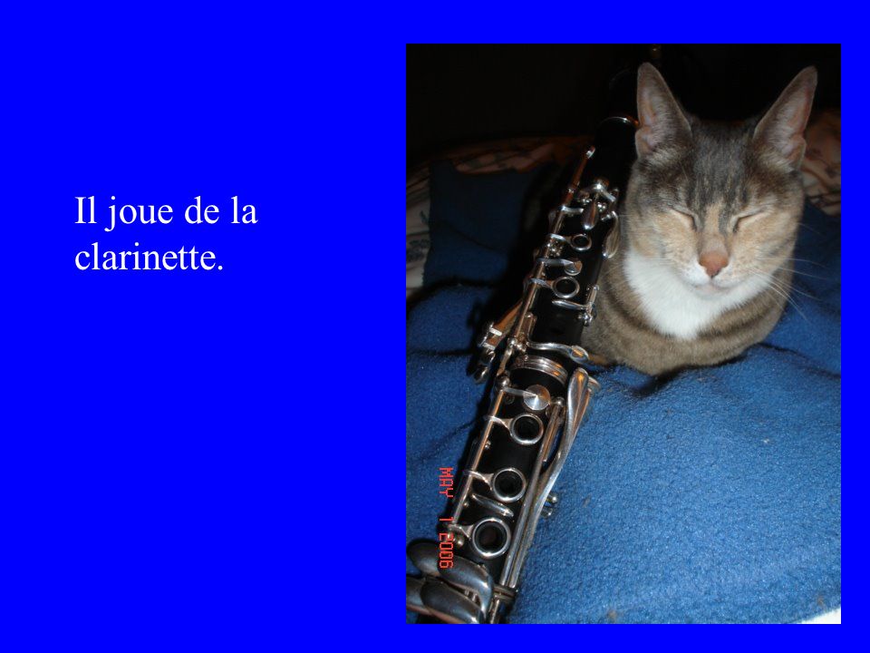 Il joue de la clarinette.