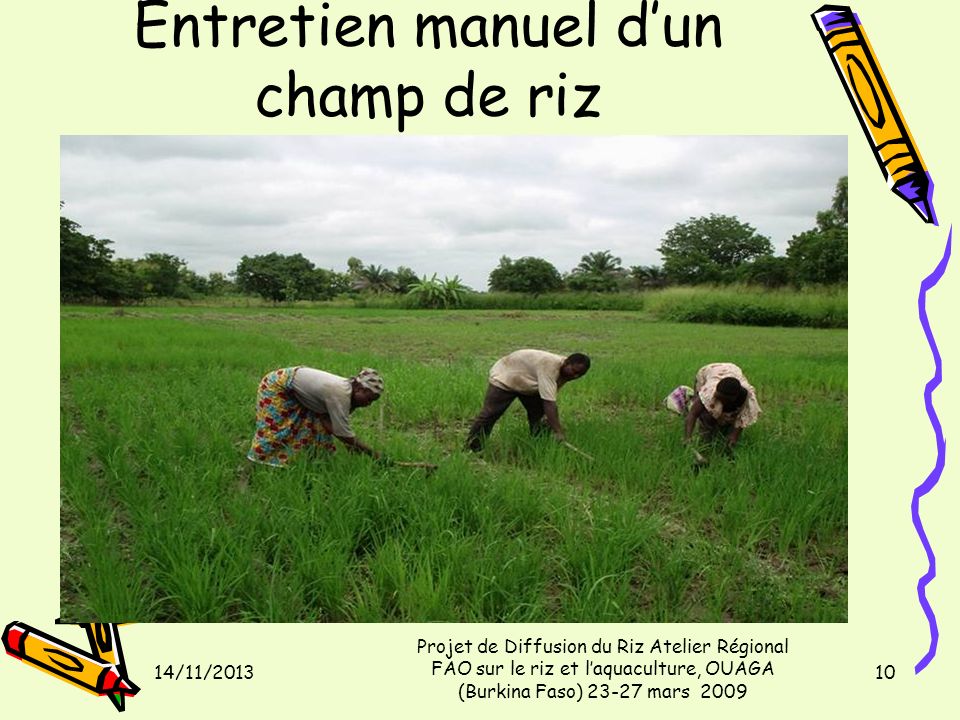 Entretien manuel dun champ de riz 14/11/2013 Projet de Diffusion du Riz Atelier Régional FAO sur le riz et laquaculture, OUAGA (Burkina Faso) mars