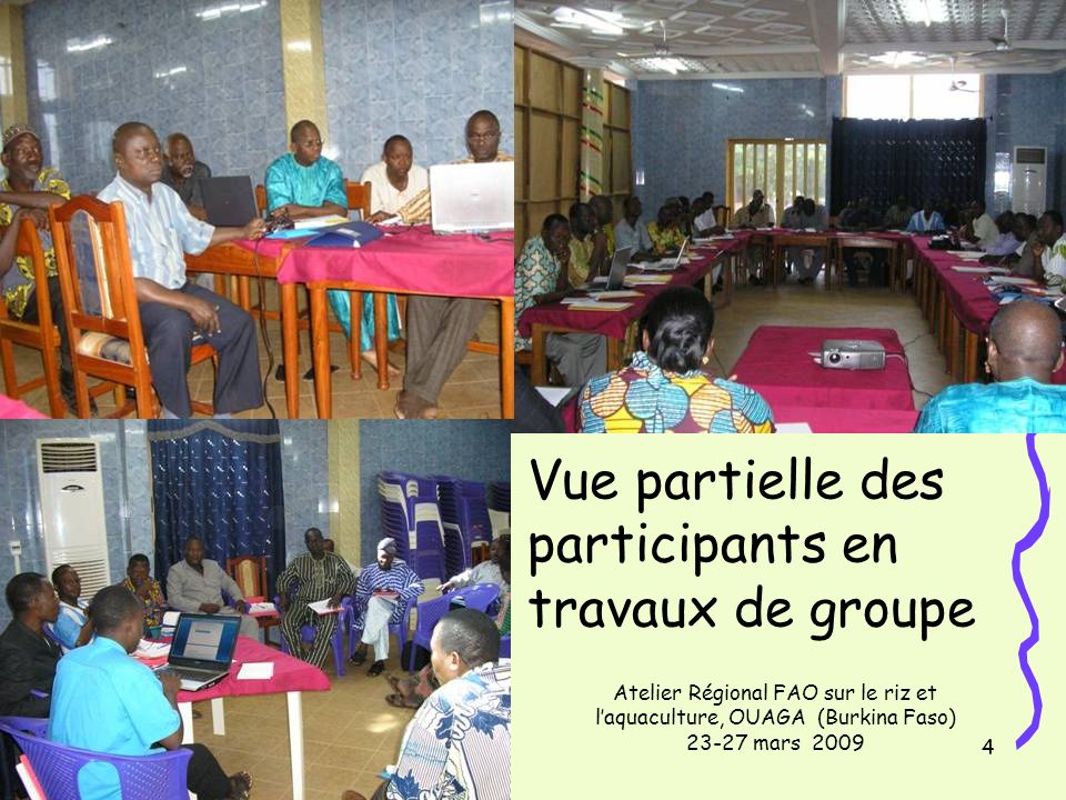 14/11/20134 Vue partielle des participants en travaux de groupe Atelier Régional FAO sur le riz et laquaculture, OUAGA (Burkina Faso) mars 2009