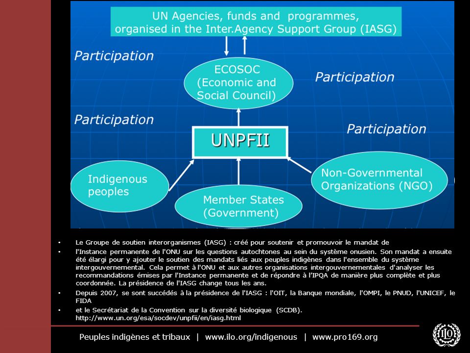 Peuples indigènes et tribaux |   |   Le Groupe de soutien interorganismes (IASG) : créé pour soutenir et promouvoir le mandat de l Instance permanente de l ONU sur les questions autochtones au sein du système onusien.