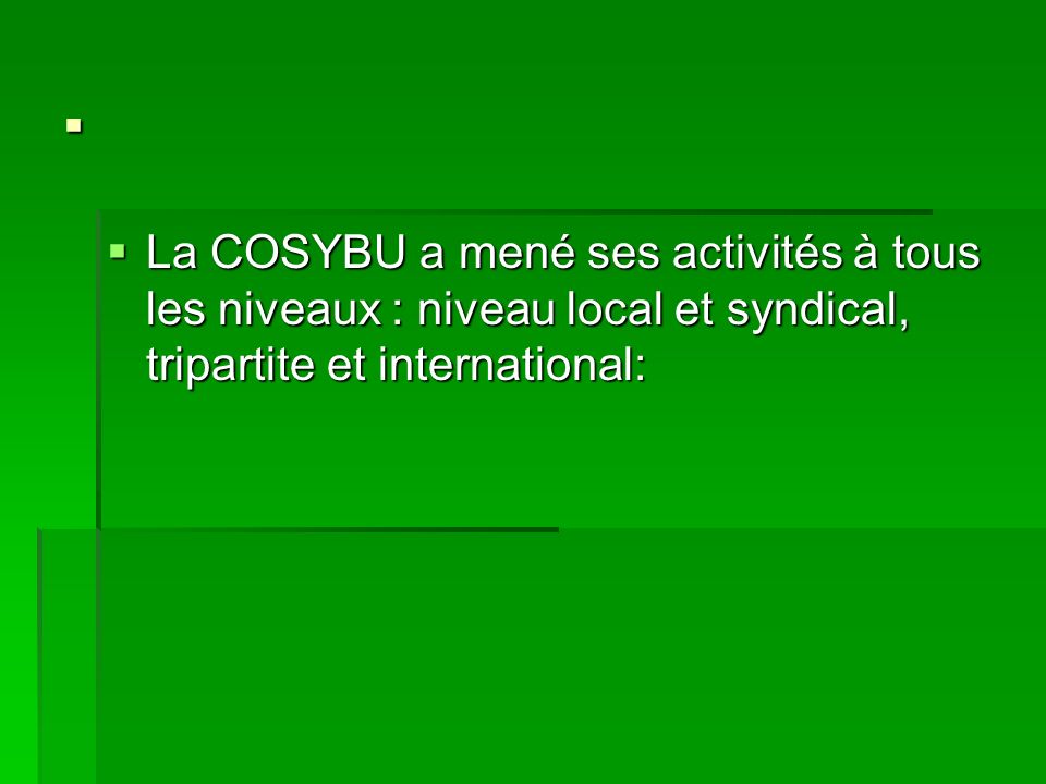 . La COSYBU a mené ses activités à tous les niveaux : niveau local et syndical, tripartite et international: La COSYBU a mené ses activités à tous les niveaux : niveau local et syndical, tripartite et international: