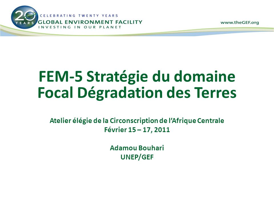 FEM-5 Stratégie du domaine Focal Dégradation des Terres Atelier élégie de la Circonscription de lAfrique Centrale Février 15 – 17, 2011 Adamou Bouhari UNEP/GEF