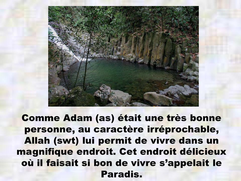 Comme Adam (as) était une très bonne personne, au caractère irréprochable, Allah (swt) lui permit de vivre dans un magnifique endroit.