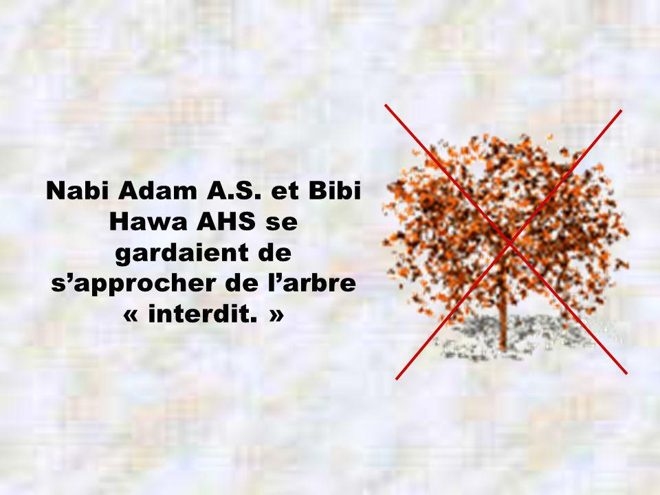Nabi Adam A.S. et Bibi Hawa AHS se gardaient de sapprocher de larbre « interdit. »