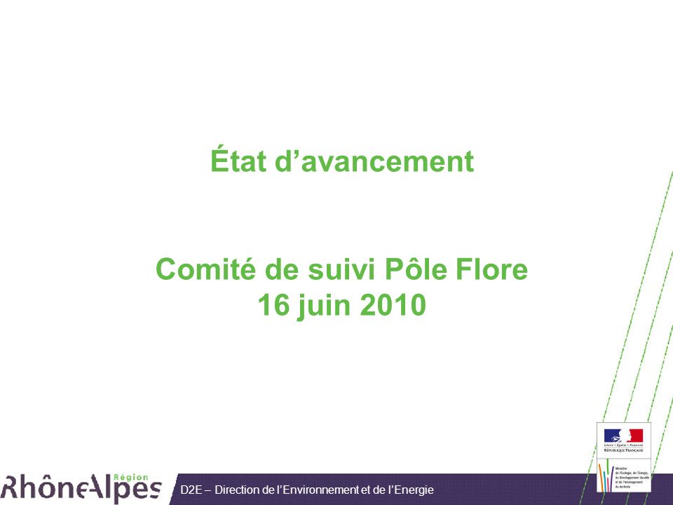 D2E – Direction de lEnvironnement et de lEnergie État davancement Comité de suivi Pôle Flore 16 juin 2010