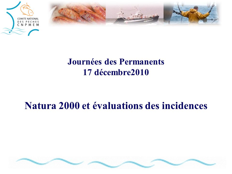 Journées des Permanents 17 décembre2010 Natura 2000 et évaluations des incidences