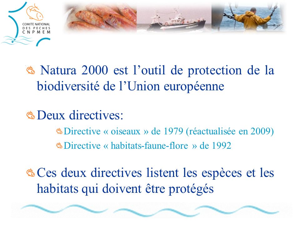 Natura 2000 est loutil de protection de la biodiversité de lUnion européenne Deux directives: Directive « oiseaux » de 1979 (réactualisée en 2009) Directive « habitats-faune-flore » de 1992 Ces deux directives listent les espèces et les habitats qui doivent être protégés