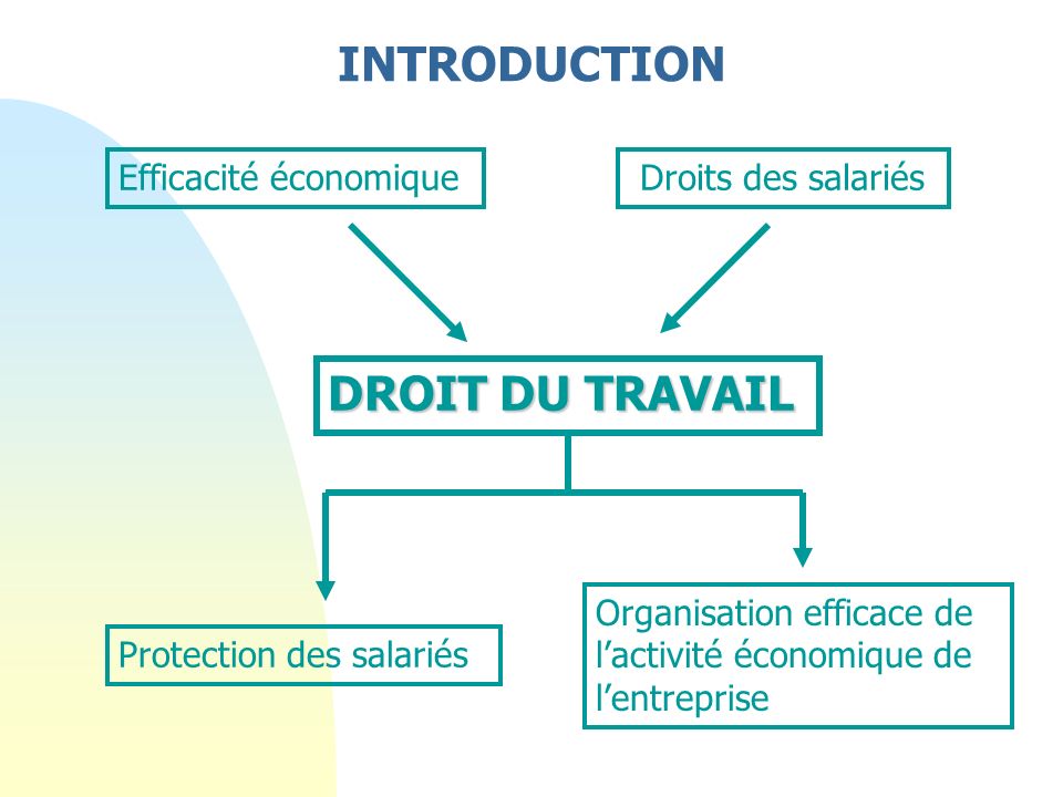 Efficacité économique Droits des salariés DROIT DU TRAVAIL Protection des salariés Organisation efficace de lactivité économique de lentreprise INTRODUCTION