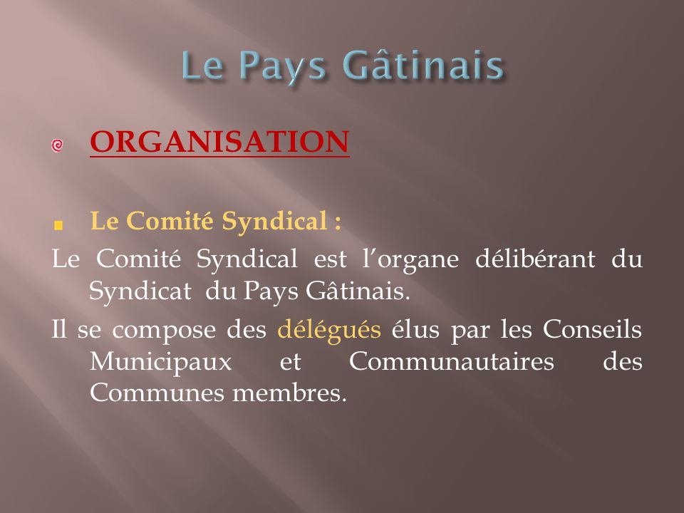 ORGANISATION Le Comité Syndical : Le Comité Syndical est lorgane délibérant du Syndicat du Pays Gâtinais.