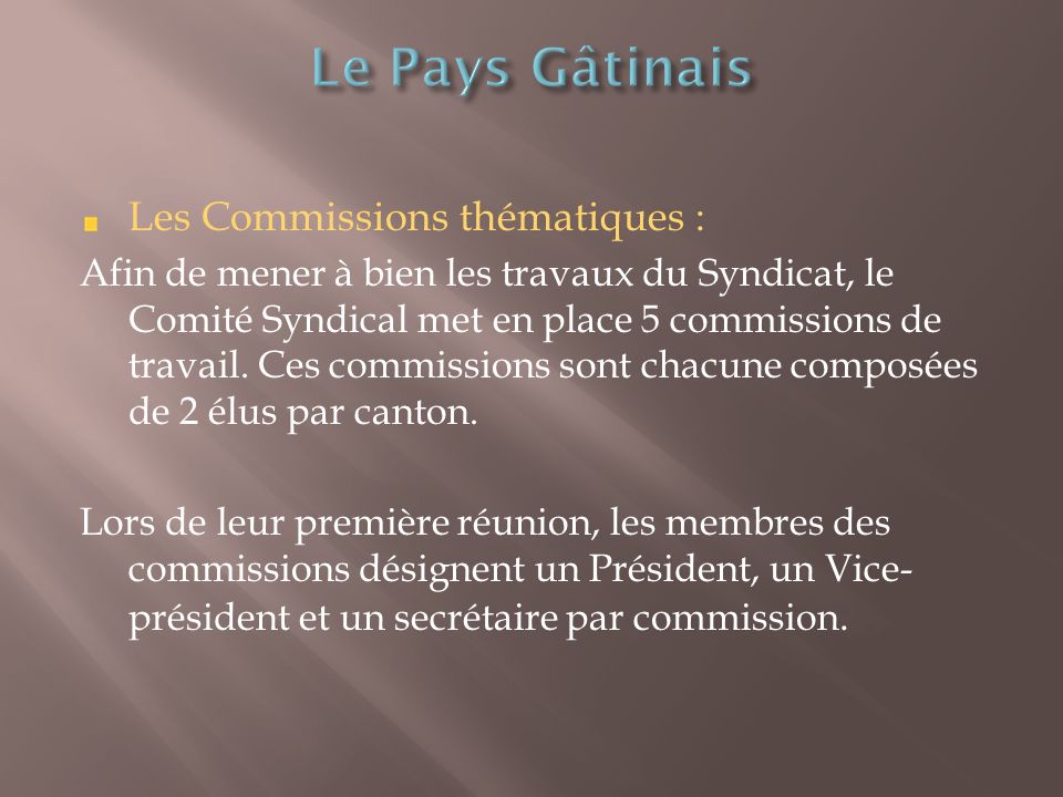 Les Commissions thématiques : Afin de mener à bien les travaux du Syndicat, le Comité Syndical met en place 5 commissions de travail.