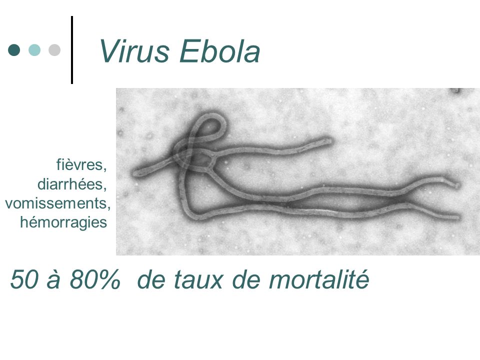 Virus Ebola 50 à 80% de taux de mortalité fièvres, diarrhées, vomissements, hémorragies