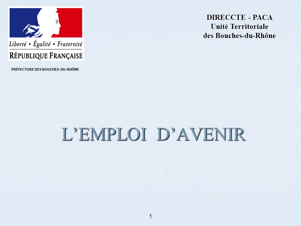 1 LEMPLOI DAVENIR DIRECCTE - PACA Unité Territoriale des Bouches-du-Rhône PRÉFECTURE DES BOUCHES-DU-RHÔNE
