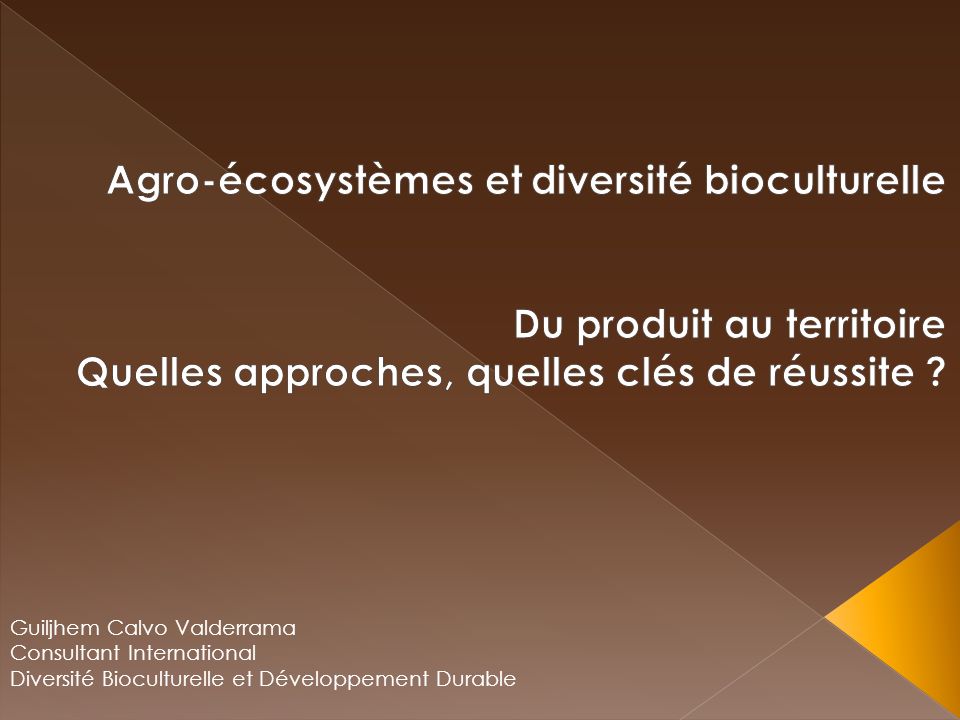 Guiljhem Calvo Valderrama Consultant International Diversité Bioculturelle et Développement Durable