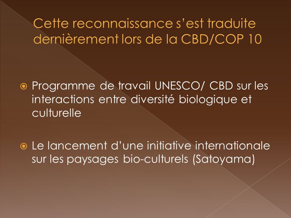 Programme de travail UNESCO/ CBD sur les interactions entre diversité biologique et culturelle Le lancement dune initiative internationale sur les paysages bio-culturels (Satoyama)