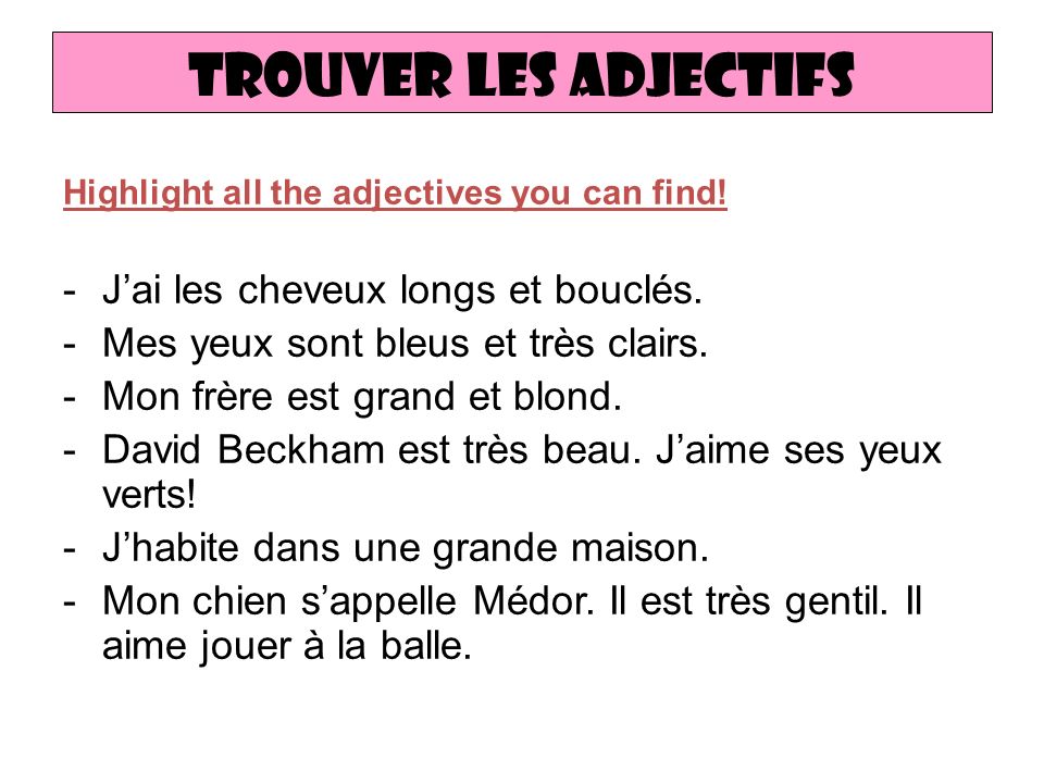 Trouver les adjectifs Highlight all the adjectives you can find.