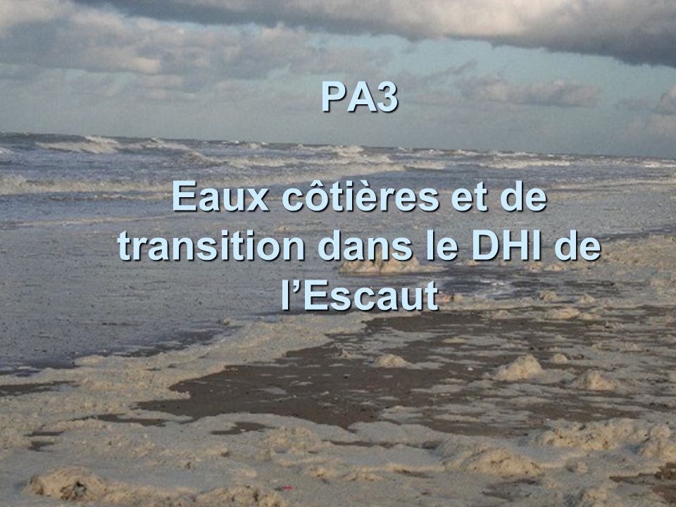 PA3 Eaux côtières et de transition dans le DHI de lEscaut