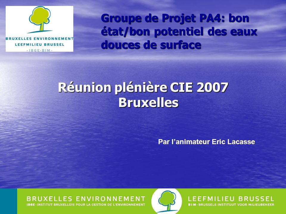 1 Groupe de Projet PA4: bon état/bon potentiel des eaux douces de surface Réunion plénière CIE 2007 Bruxelles Par lanimateur Eric Lacasse