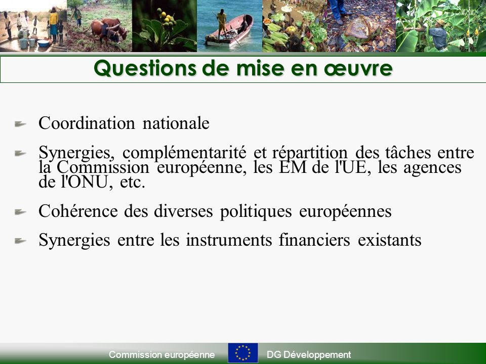 Commission européenneDG Développement Questions de mise en œuvre Coordination nationale Synergies, complémentarité et répartition des tâches entre la Commission européenne, les EM de l UE, les agences de l ONU, etc.