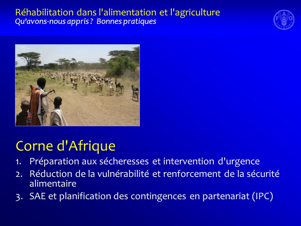 Corne d Afrique 1.Préparation aux sécheresses et intervention d urgence 2.Réduction de la vulnérabilité et renforcement de la sécurité alimentaire 3.SAE et planification des contingences en partenariat (IPC) Réhabilitation dans l alimentation et l agriculture Qu avons-nous appris .