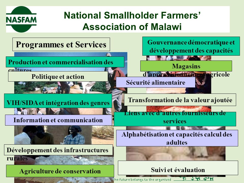 National Smallholder Farmers Association of Malawi Réponses des petits agriculteurs Introduction à la NASFAM Détenue par ses membres et gouvernée démocratiquement Plus grande organisation dagriculteurs avec membres dans 43 associations 19 des 29 districts du Malawi Programme damélioration de la subsistance des agriculteurs, de leur communauté et de la nation 9