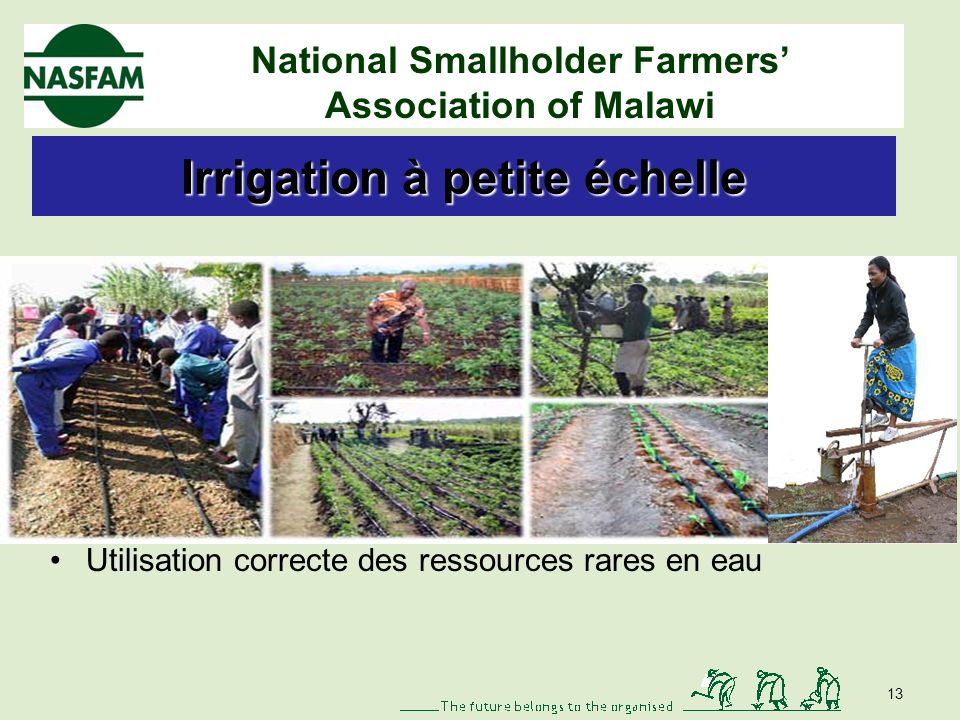 National Smallholder Farmers Association of Malawi Réponses des petits agriculteurs Agriculture de conservation Sensibilisation -90 % dadoption Réduction de la vulnérabilité Amélioration de la structure et de la texture du sol 12