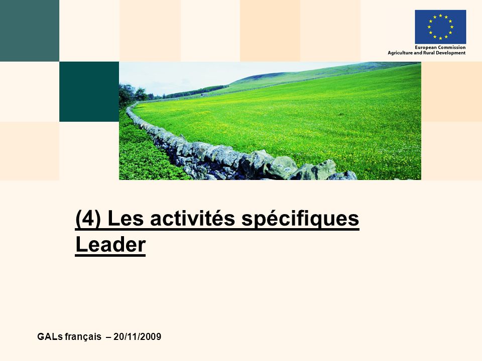 GALs français – 20/11/2009 (4) Les activités spécifiques Leader
