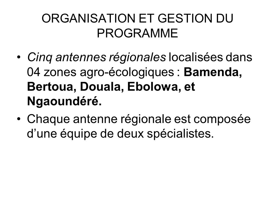 ORGANISATION ET GESTION DU PROGRAMME Cinq antennes régionales localisées dans 04 zones agro-écologiques : Bamenda, Bertoua, Douala, Ebolowa, et Ngaoundéré.