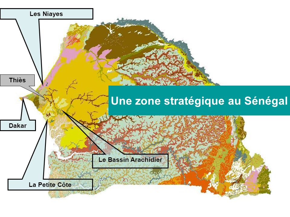 Thiès Les Niayes La Petite Côte Le Bassin Arachidier Une zone stratégique au Sénégal Dakar