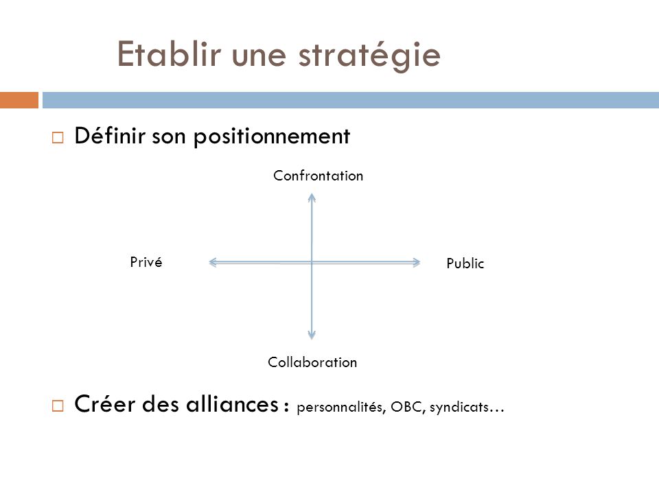 Etablir une stratégie Définir son positionnement Créer des alliances : personnalités, OBC, syndicats… Collaboration Privé Public Confrontation