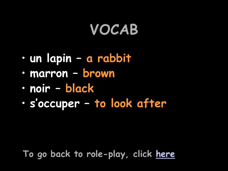VOCAB un lapin – a rabbit marron – brown noir – black soccuper – to look after To go back to role-play, click herehere