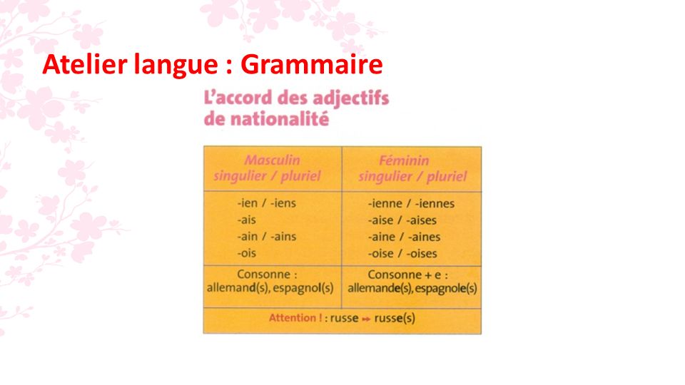 Atelier langue : Grammaire