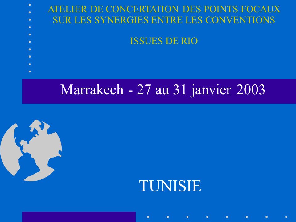 Marrakech - 27 au 31 janvier 2003 TUNISIE ATELIER DE CONCERTATION DES POINTS FOCAUX SUR LES SYNERGIES ENTRE LES CONVENTIONS ISSUES DE RIO