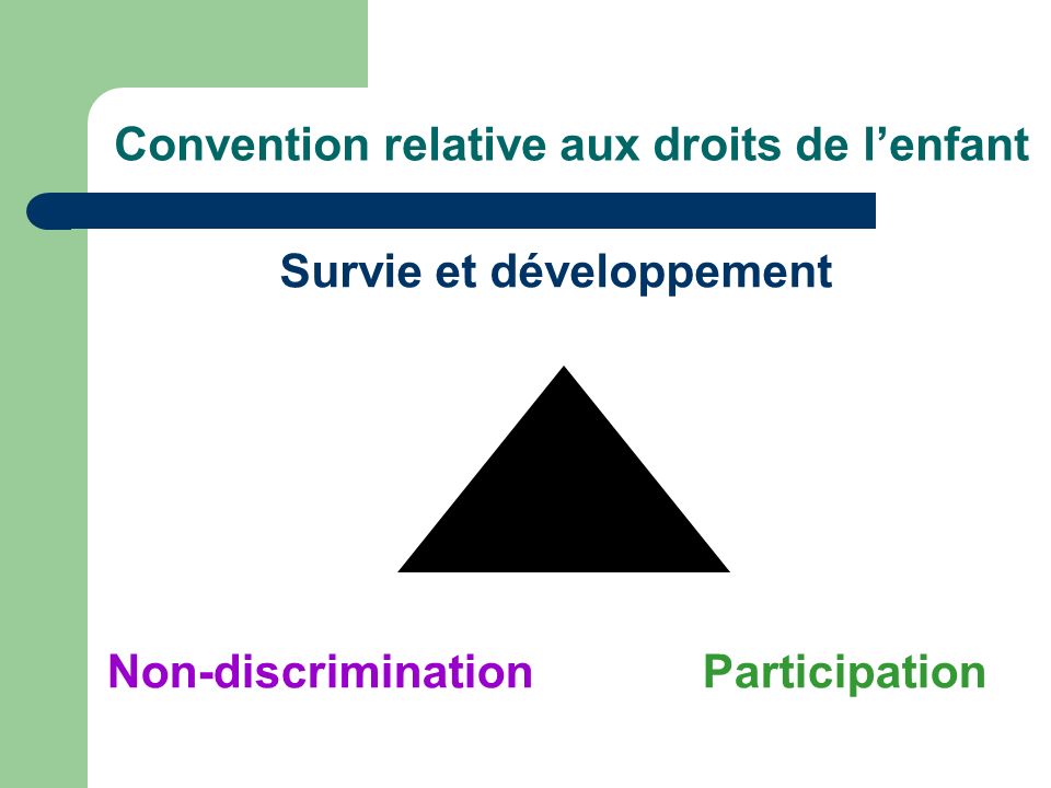 Convention relative aux droits de lenfant ParticipationNon-discrimination Survie et développement