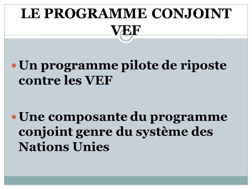 LES ACTIONS (suite) Des partenaires techniques et financiers engagés Mise en œuvre du programme conjoint VEF 5