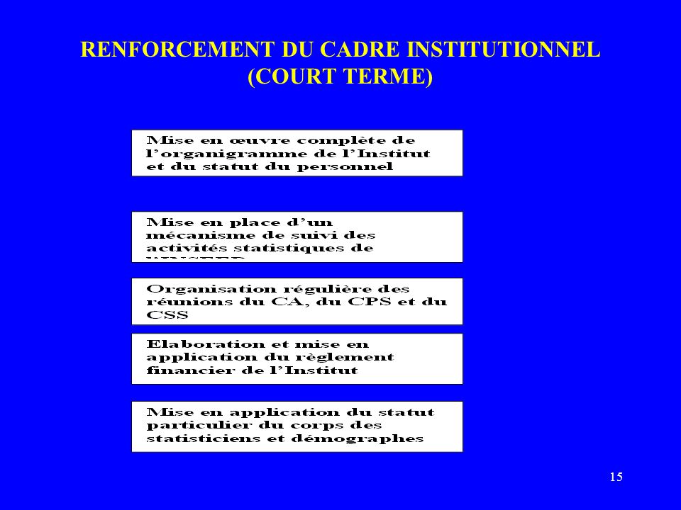15 RENFORCEMENT DU CADRE INSTITUTIONNEL (COURT TERME)