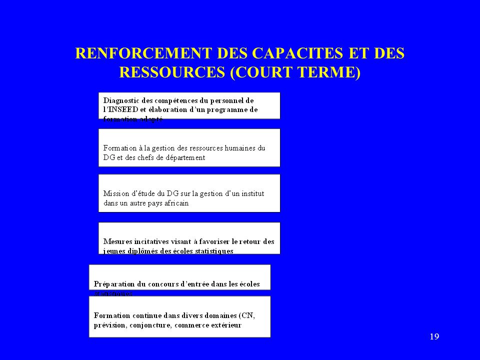 19 RENFORCEMENT DES CAPACITES ET DES RESSOURCES (COURT TERME)