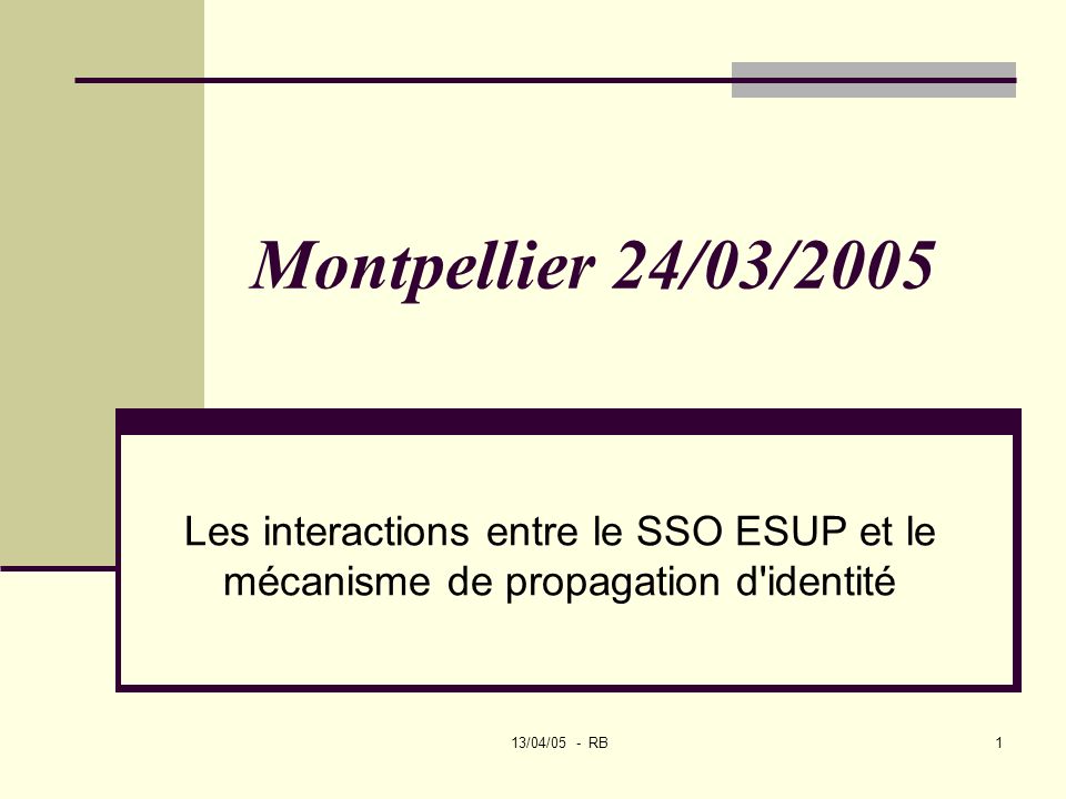 13/04/05 - RB1 Montpellier 24/03/2005 Les interactions entre le SSO ESUP et le mécanisme de propagation d identité