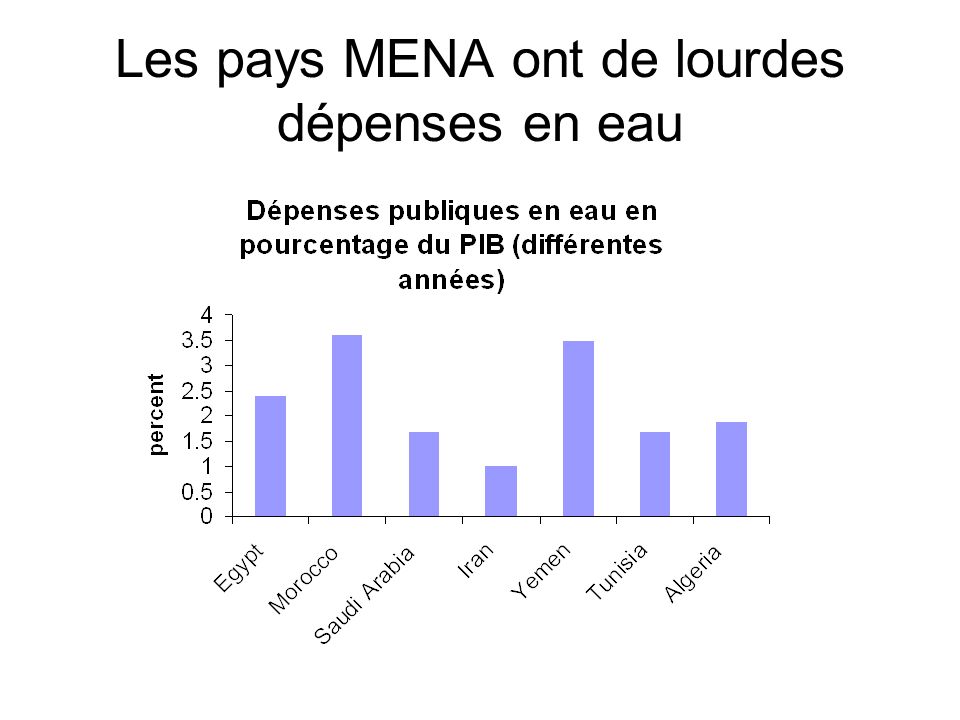 Les pays MENA ont de lourdes dépenses en eau