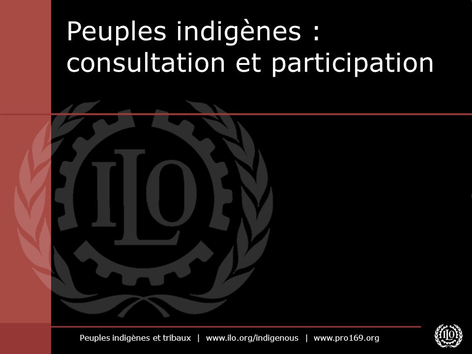 Peuples indigènes et tribaux |   |   Peuples indigènes : consultation et participation