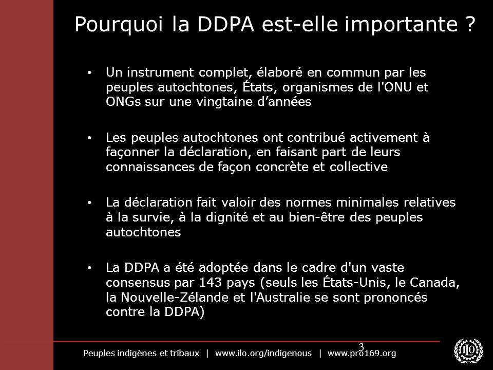 Peuples indigènes et tribaux |   |   3 Pourquoi la DDPA est-elle importante .