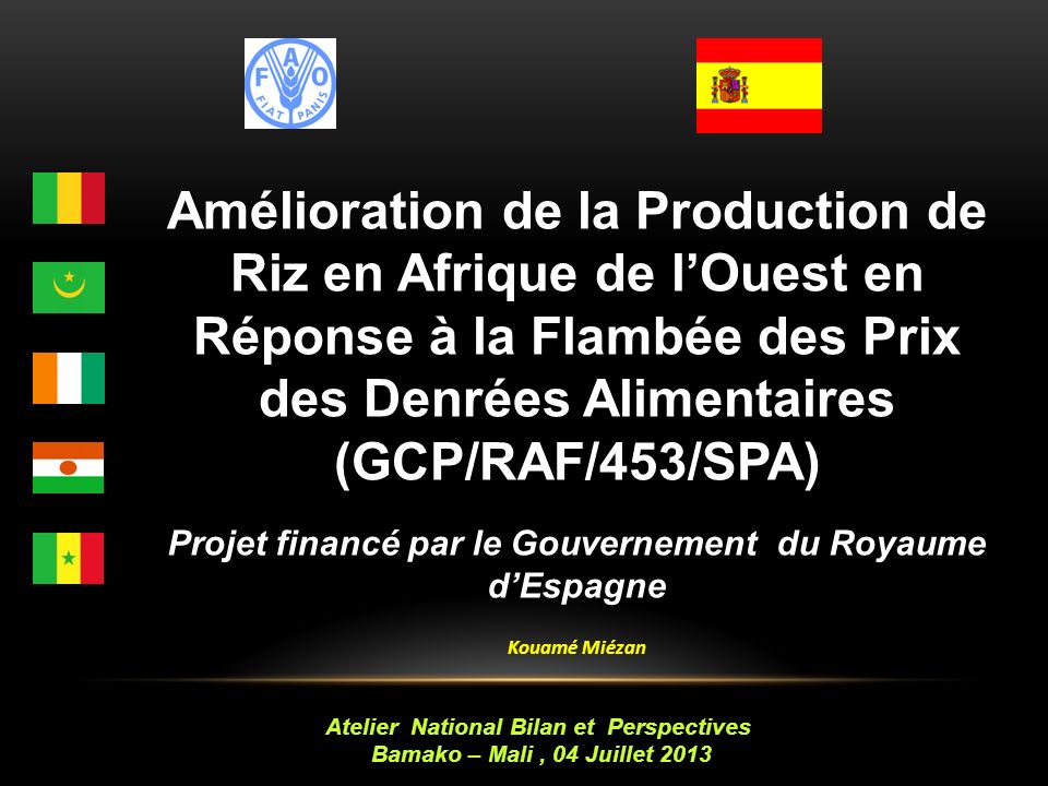 Amélioration de la Production de Riz en Afrique de lOuest en Réponse à la Flambée des Prix des Denrées Alimentaires (GCP/RAF/453/SPA) Projet financé par le Gouvernement du Royaume dEspagne Kouamé Miézan Atelier National Bilan et Perspectives Bamako – Mali, 04 Juillet 2013