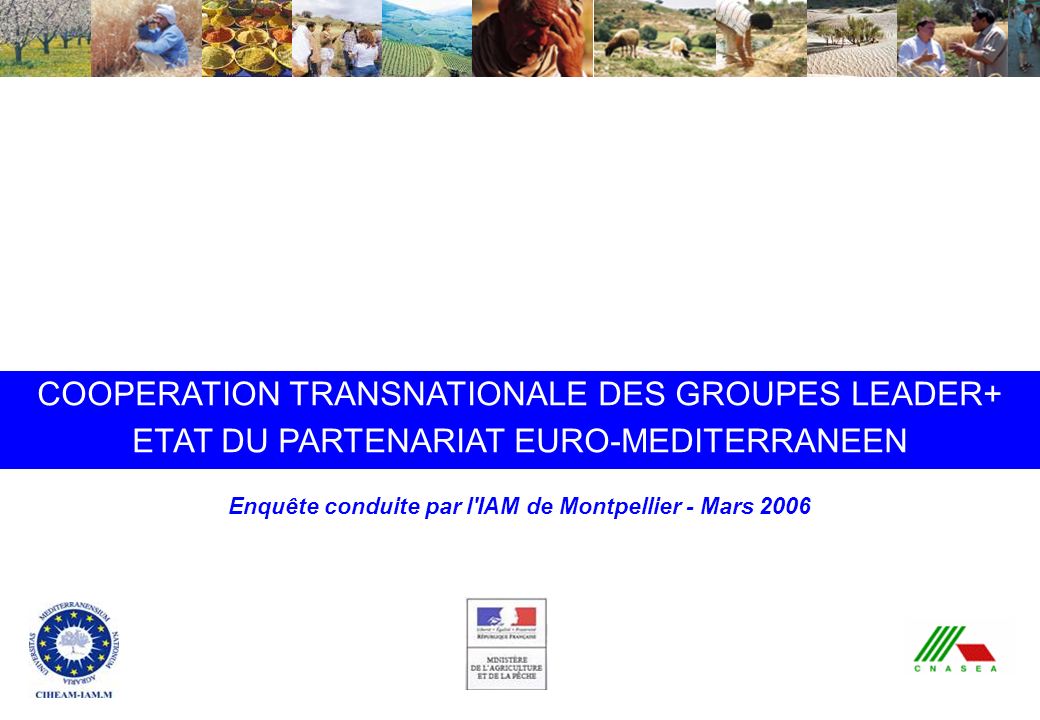 Coopération transnationale Leader+ : état du partenariat euro-méditerranéen - IAMM - Mars 2006 COOPERATION TRANSNATIONALE DES GROUPES LEADER+ ETAT DU PARTENARIAT EURO-MEDITERRANEEN Enquête conduite par l IAM de Montpellier - Mars 2006