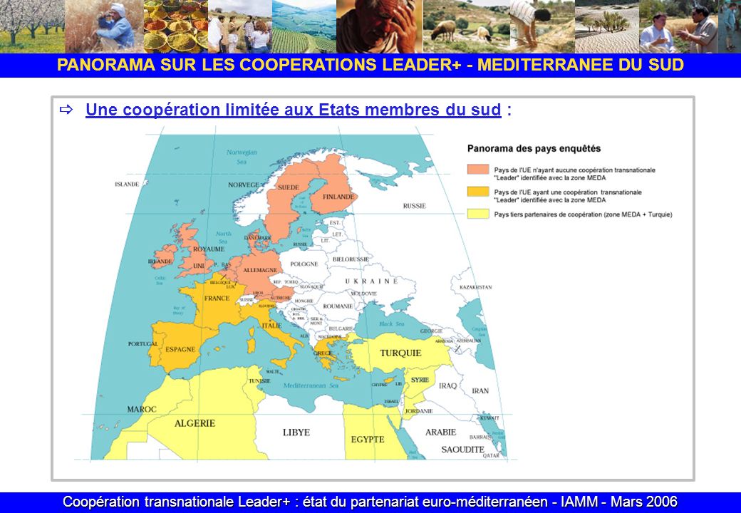 Coopération transnationale Leader+ : état du partenariat euro-méditerranéen - IAMM - Mars 2006 Une coopération limitée aux Etats membres du sud : PANORAMA SUR LES COOPERATIONS LEADER+ - MEDITERRANEE DU SUD