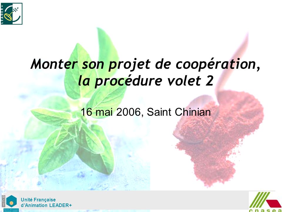 Mardi 02 mai Unité Française dAnimation LEADER+ Monter son projet de coopération, la procédure volet 2 16 mai 2006, Saint Chinian