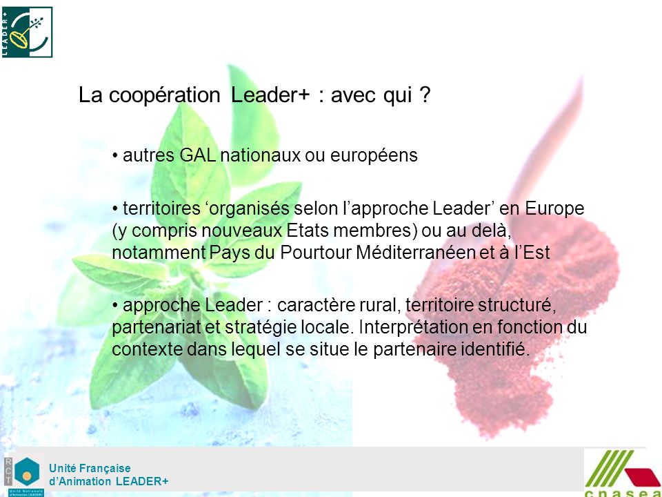 Mardi 02 mai Unité Française dAnimation LEADER+ La coopération Leader+ : avec qui .