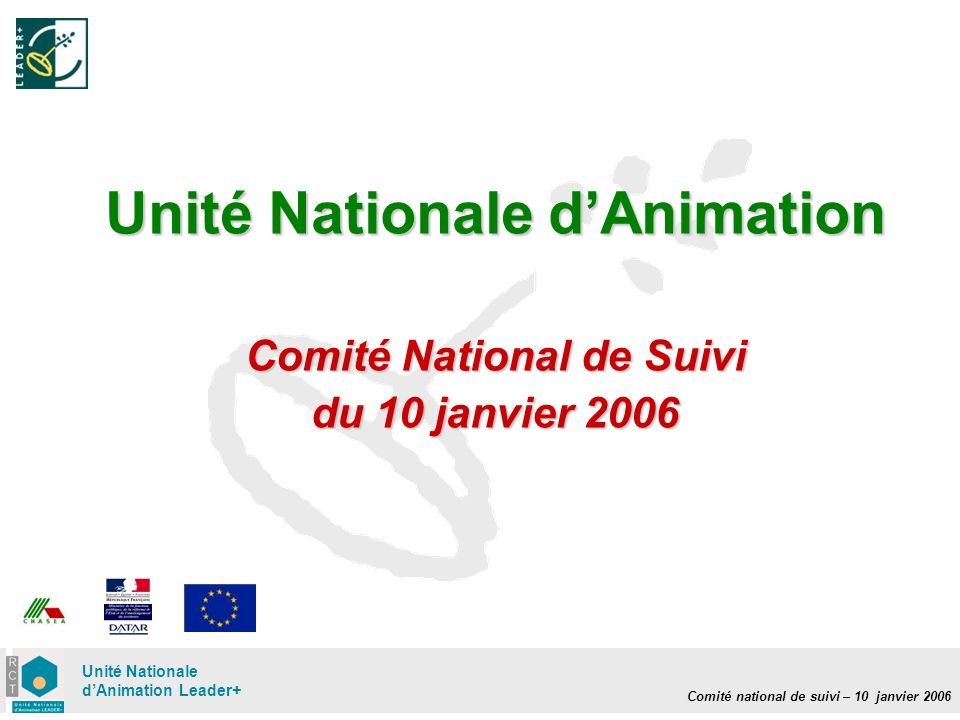 Comité national de suivi – 10 janvier 2006 Unité Nationale dAnimation Leader+ Unité Nationale dAnimation Comité National de Suivi du 10 janvier 2006