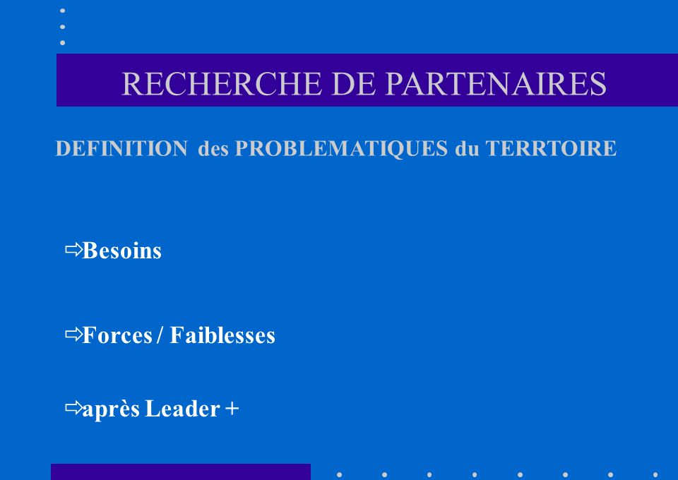 Besoins Forces / Faiblesses après Leader + RECHERCHE DE PARTENAIRES DEFINITION des PROBLEMATIQUES du TERRTOIRE
